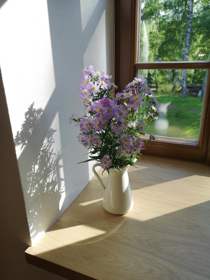 Na Jeleni Stezce Villa Chřibská Eksteriør bilde
